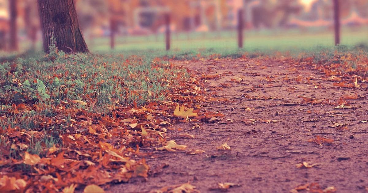 Couverture : Checklist état des lieux : 50 points à vérifier avant de signer
